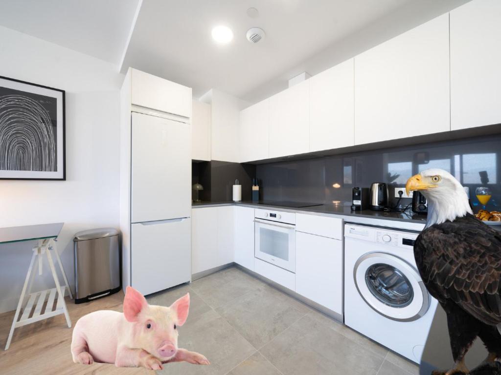 Xpce Urban 4 Malaga Skyline - Free Parking Apartment Ngoại thất bức ảnh